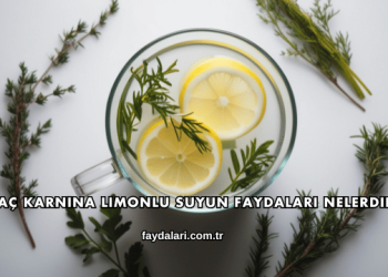 Aç Karnına Limonlu Suyun Faydaları Nelerdir?