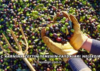 Aç Karnına Zeytin Yemenin Faydaları Nelerdir?