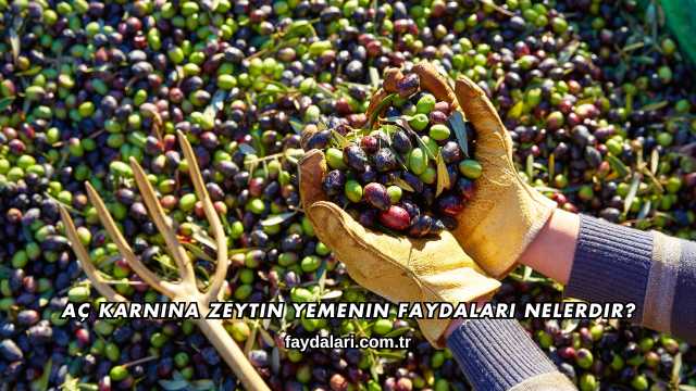 Aç Karnına Zeytin Yemenin Faydaları Nelerdir?