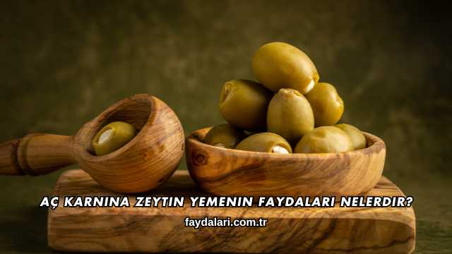 Aç Karnına Zeytin Yemenin Faydaları Nelerdir?
