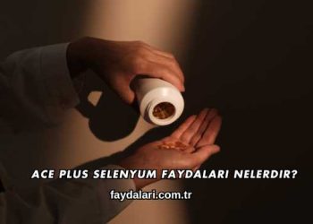 Ace Plus Selenyum Faydaları Nelerdir?