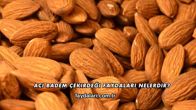 Acı Badem Çekirdeği Faydaları Nelerdir?