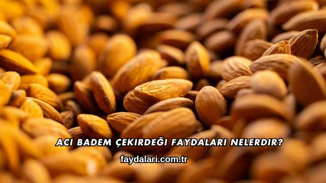 Acı Badem Çekirdeği Faydaları Nelerdir?