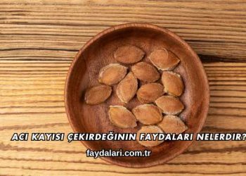 Acı Kayısı Çekirdeğinin Faydaları Nelerdir?