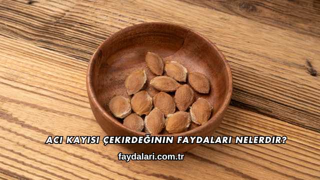 Acı Kayısı Çekirdeğinin Faydaları Nelerdir?