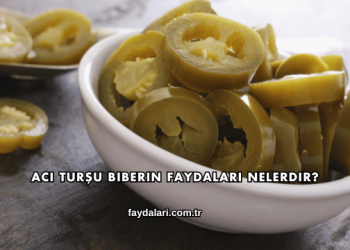 Acı Turşu Biberin Faydaları Nelerdir?