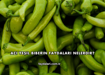 Acı Yeşil Biberin Faydaları Nelerdir?