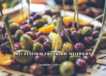 Acı Zeytinin Faydaları Nelerdir?