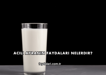 Acılı Ayranın Faydaları Nelerdir?