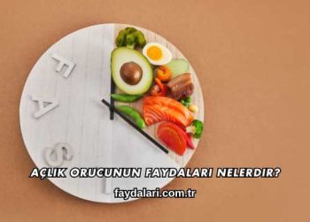 Açlık Orucunun Faydaları Nelerdir?