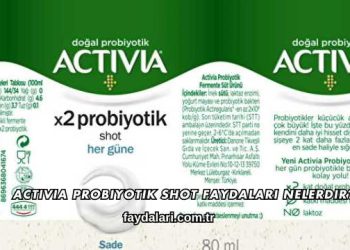 Activia Probiyotik Shot Faydaları Nelerdir?