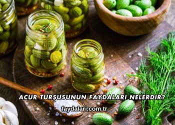 Acur Turşusunun Faydaları Nelerdir?