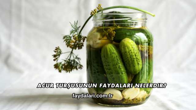 Acur Turşusunun Faydaları Nelerdir?