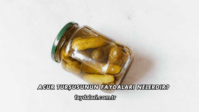 Acur Turşusunun Faydaları Nelerdir?