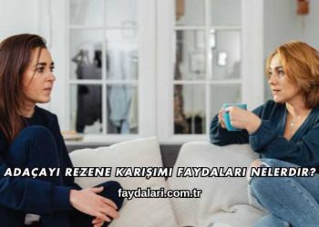 Adaçayı Rezene Karışımı Faydaları Nelerdir?