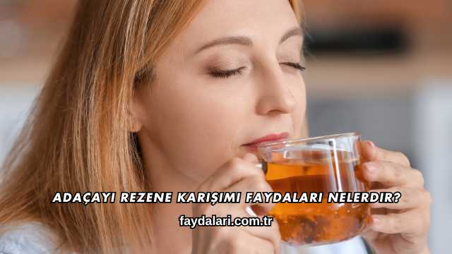 Adaçayı Rezene Karışımı Faydaları Nelerdir?