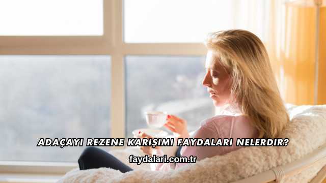 Adaçayı Rezene Karışımı Faydaları Nelerdir?