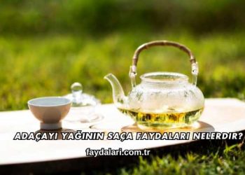 Adaçayı Yağının Saça Faydaları Nelerdir?