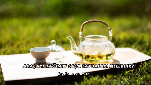 Adaçayı Yağının Saça Faydaları Nelerdir?