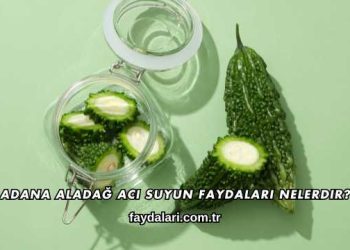 Adana Aladağ Acı Suyun Faydaları Nelerdir?