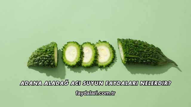 Adana Aladağ Acı Suyun Faydaları Nelerdir?