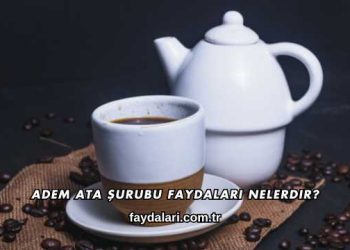 Adem Ata Şurubu Faydaları Nelerdir?