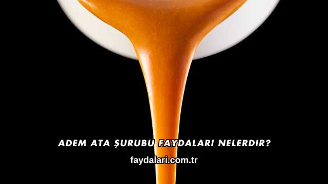 Adem Ata Şurubu Faydaları Nelerdir?