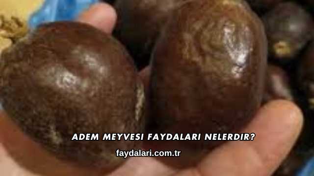 Adem Meyvesi Faydaları Nelerdir?