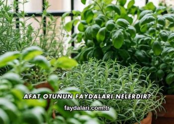 Afat Otunun Faydaları Nelerdir?