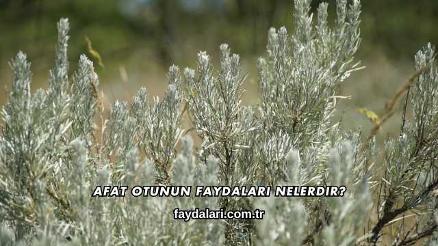 Afat Otunun Faydaları Nelerdir?