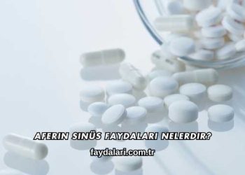 Aferin Sinüs Faydaları Nelerdir?