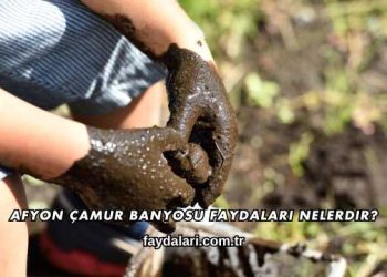 Afyon Çamur Banyosu Faydaları Nelerdir?