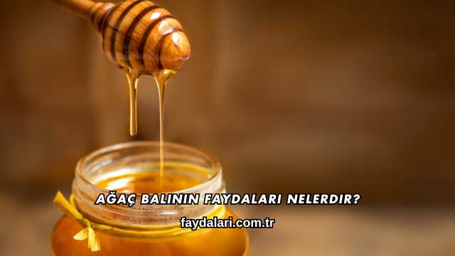 Ağaç Balının Faydaları Nelerdir?