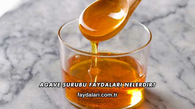 Agave Şurubu Faydaları Nelerdir?