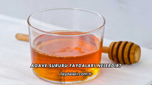 Agave Şurubu Faydaları Nelerdir?