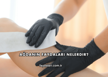 Ağdanın Faydaları Nelerdir?