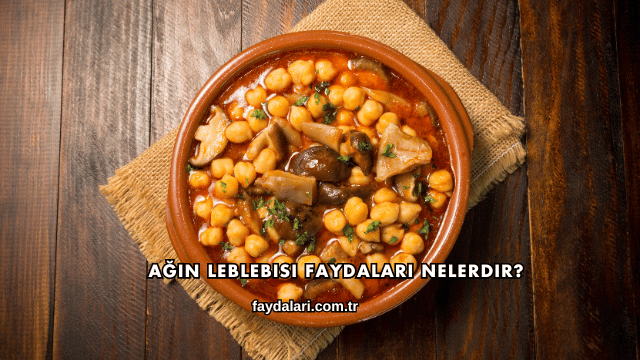 Ağın Leblebisi Faydaları Nelerdir?