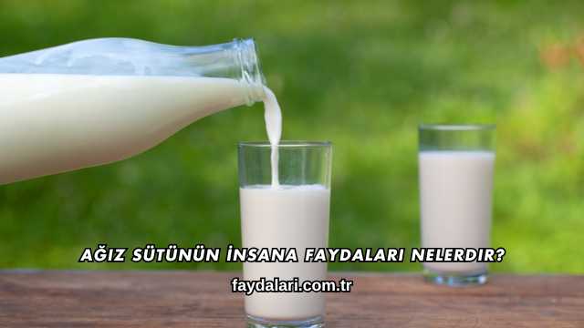 Ağız Sütünün İnsana Faydaları Nelerdir