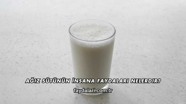Ağız Sütünün İnsana Faydaları Nelerdir