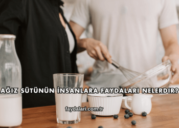 Ağız Sütünün İnsanlara Faydaları Nelerdir?