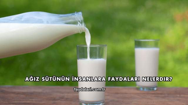Ağız Sütünün İnsanlara Faydaları Nelerdir?