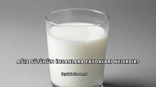 Ağız Sütünün İnsanlara Faydaları Nelerdir?