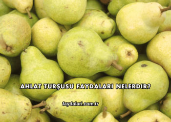 Ahlat Turşusu Faydaları Nelerdir?