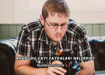 Ahududu Çayı Faydaları Nelerdir?