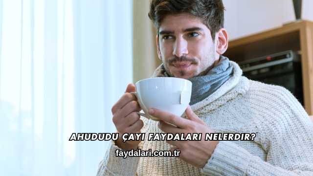 Ahududu Çayı Faydaları Nelerdir?