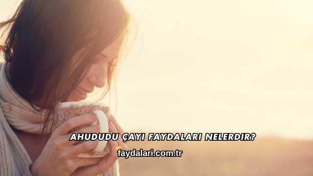 Ahududu Çayı Faydaları Nelerdir?