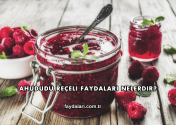Ahududu Reçeli Faydaları Nelerdir?