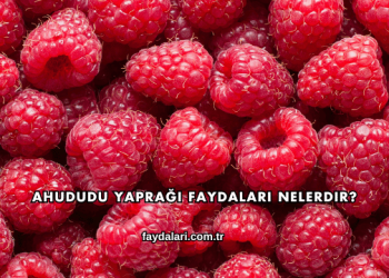 Ahududu Yaprağı Faydaları Nelerdir?