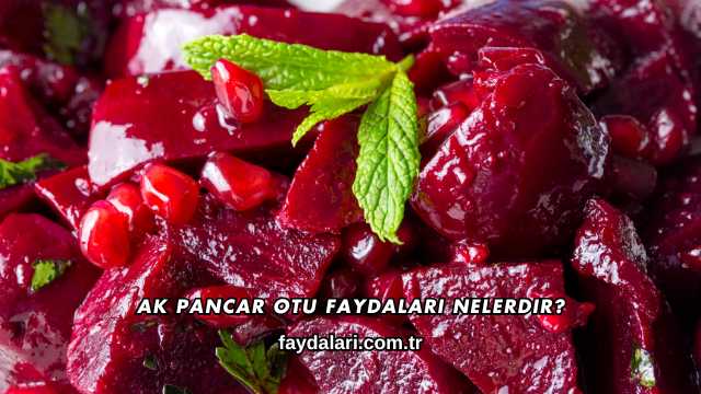 Ak Pancar Otu Faydaları Nelerdir?