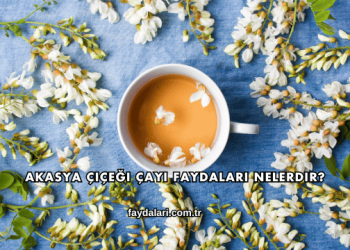 Akasya Çiçeği Çayı Faydaları Nelerdir?